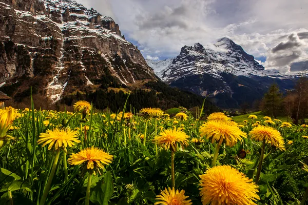the majestic Eiger