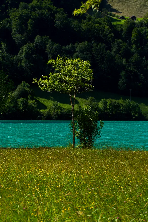 Lungern