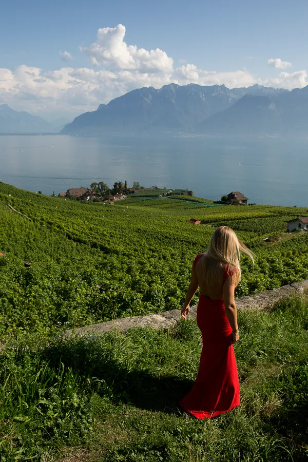 ...in the vineyards